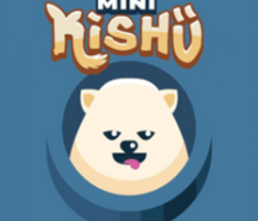 mini-kishu.com