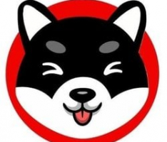 minishibtoken.info