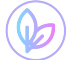 mint-swap.com
