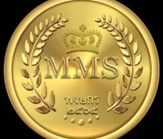mmsplatform.io