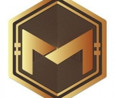 moneynet.io