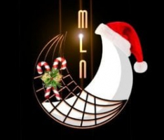 mlntoken.net