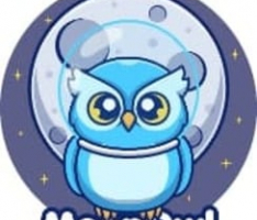 moonowl.finance
