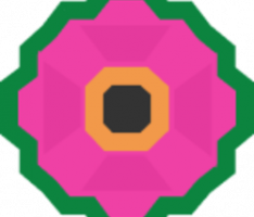 moonflowerfarmers.com