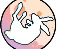 moonrabbit.money