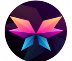 morphonetwork.finance