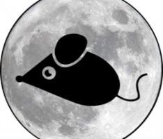 mousemn.com
