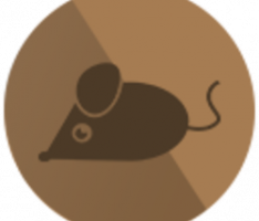 mousecoin.network