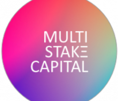 multistakecapital.link
