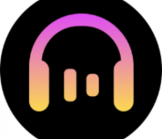 musicfi.network