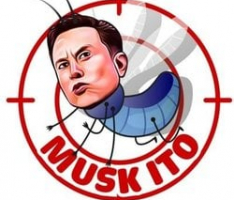 muskito.io