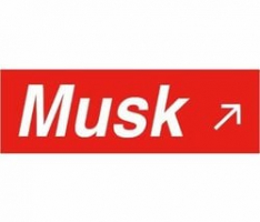 musk.vip