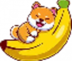 nanodoge.io