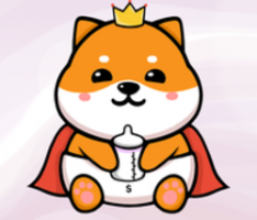 nanoshibainu.io