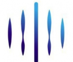 ndn.link