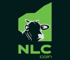 nelorecoin.com.br
