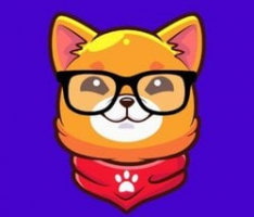 nerdyinu.com