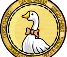 newbfinance.net