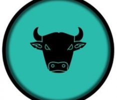 newyearbull.com
