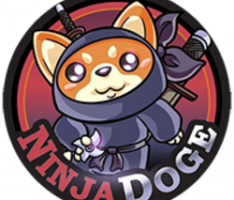 ninjadoge.org