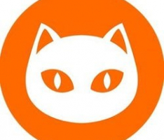ninneko.com