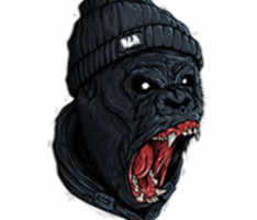 nolimitape.com