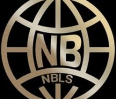 nblscoin.co.kr