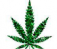 holdyourtoke.com