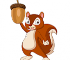 nutgain.io