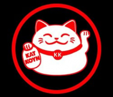 katkoyn.com