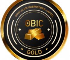 orionblackic.com
