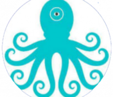 octopus.payzus.io