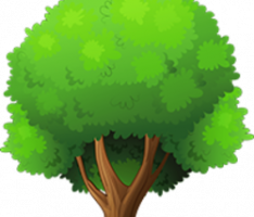 octree.finance