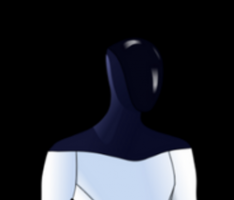 optimustesla.io