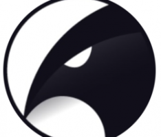 orao.network