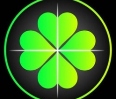 paddycoin.net
