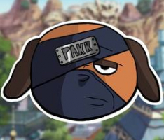 pakkuninu.com