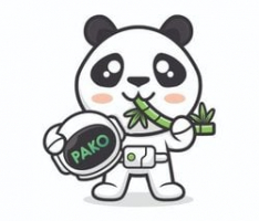 pakotoken.com