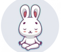 paradisefi.io