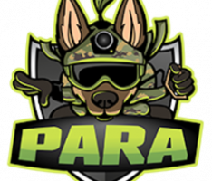 parainu.com