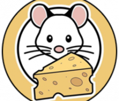 parmatoken.com