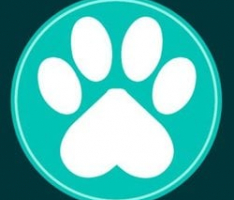 paw.digital