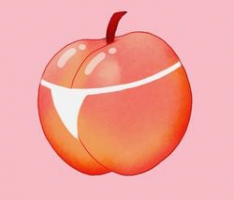 pawgcoin.io