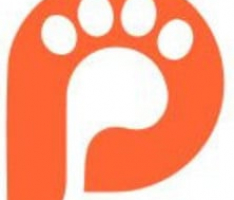 pawtocol.com