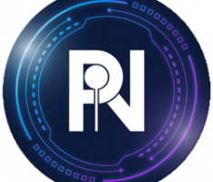 payitnow.io