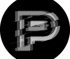 payflowtoken.com