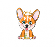 peacedoge.com