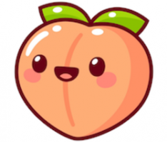 peachfinance.org