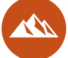 pavax.network