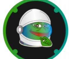 pepemoon.com
